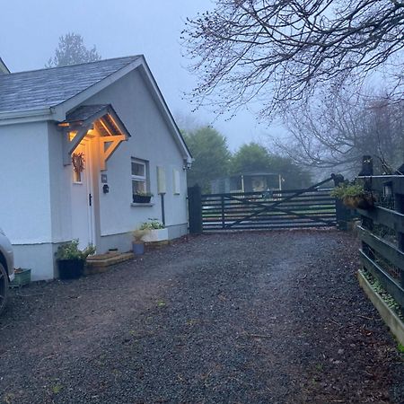 Beech Tree Cottage Glenwherry Luaran gambar