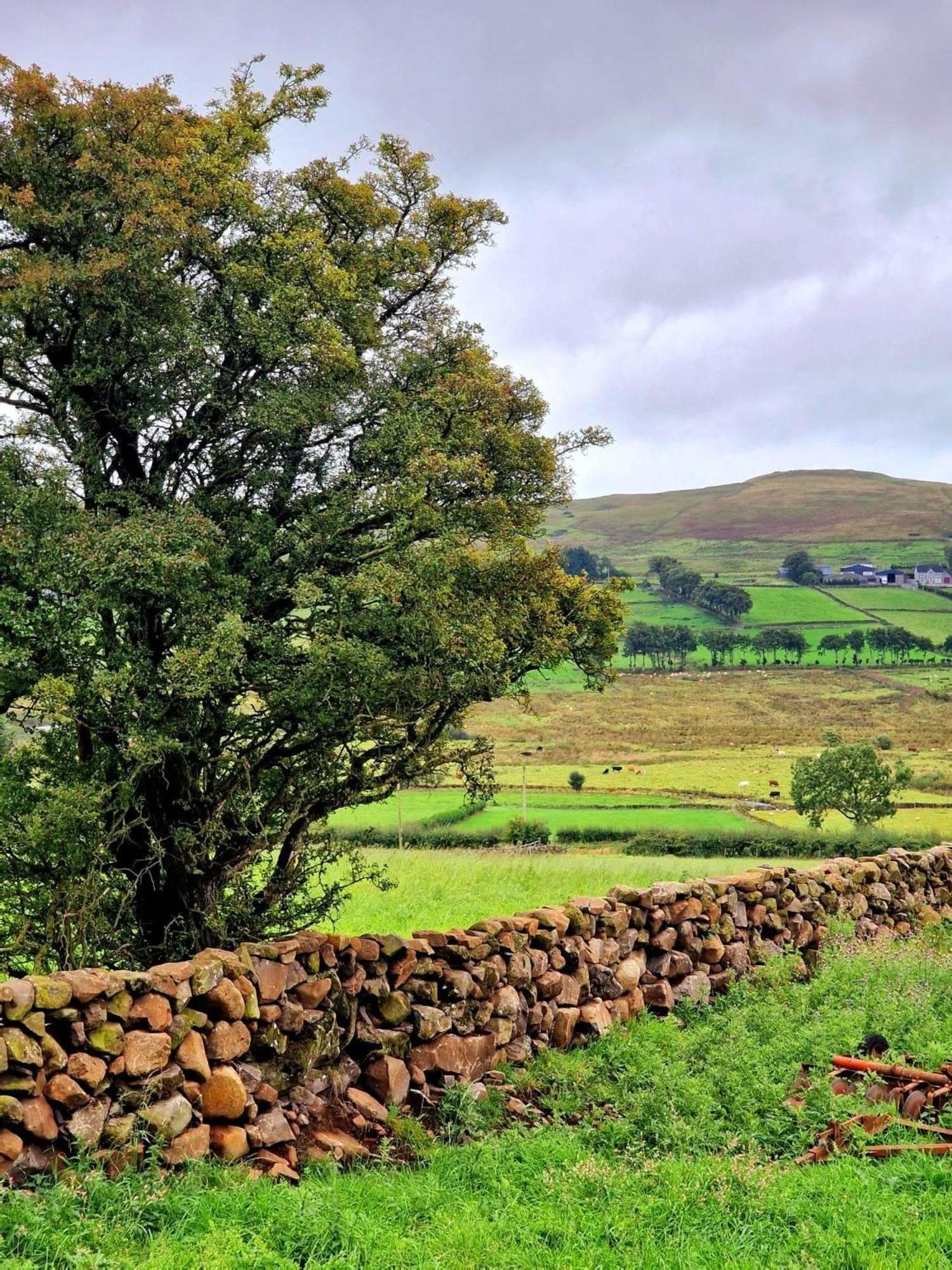 Beech Tree Cottage Glenwherry Luaran gambar
